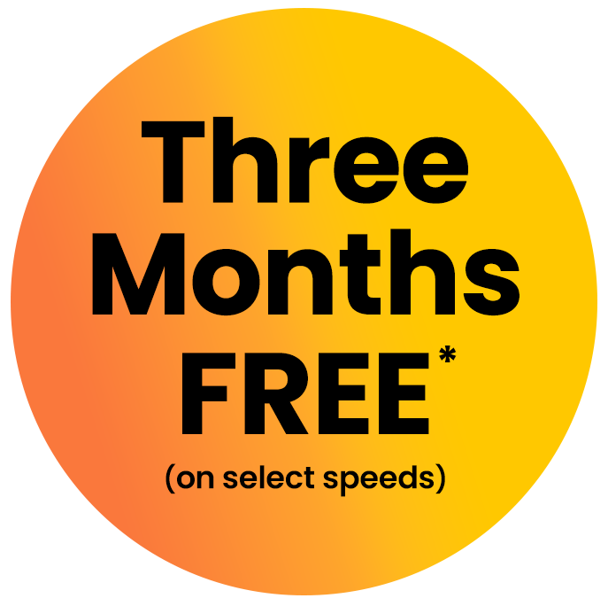 BS-3-Month-Free-Asterisk 3 months free callout